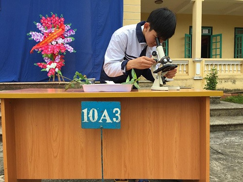 Phần thi thực hành làm tiêu bản tạm thời quan sát tế bào ở lá cây thài lài của học sinh khối 10