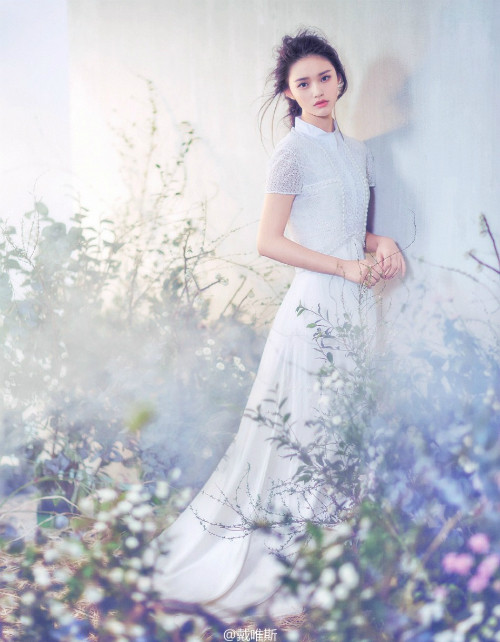 my-nhan-moi-cua-chau-tinh-tri-khoe-ve-dep-mong-manh