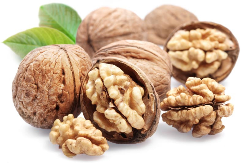 thực phẩm, bơ, lựu, hạt óc chó, dưa hấu, việt quất, dưa vàng, cà phê thực phẩm, bơ, lựu, hạt óc chó, dưa hấu, việt quất, dưa vàng, cà phê