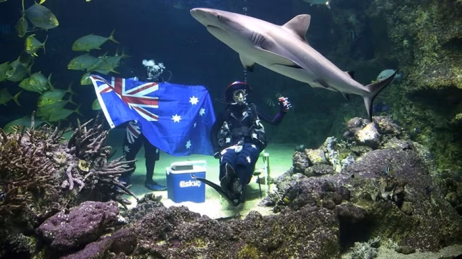 Cuốn hộ chiếu quyền lực nhất thế giới 2018 thuộc về châu Á cuon ho chieu quyen luc nhat the gioi 2018 thuoc ve chau a