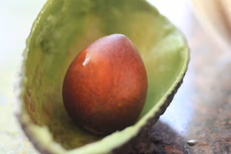 Ban se hoi han ca doi neu an bo ma bo hat - Anh 2