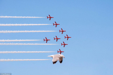 Cuoi sang khoai voi nhung khoanh khac trung hop kho tin - Anh 7