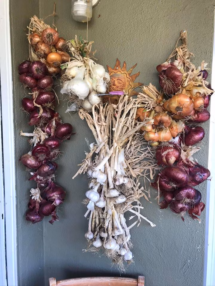 Thích mê khu vườn quanh năm tươi tốt của cặp vợ chồng thích ăn chay ảnh 17