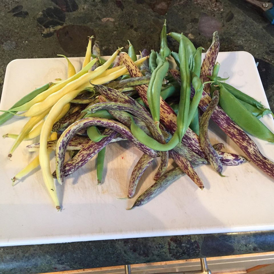 Thích mê khu vườn quanh năm tươi tốt của cặp vợ chồng thích ăn chay ảnh 25