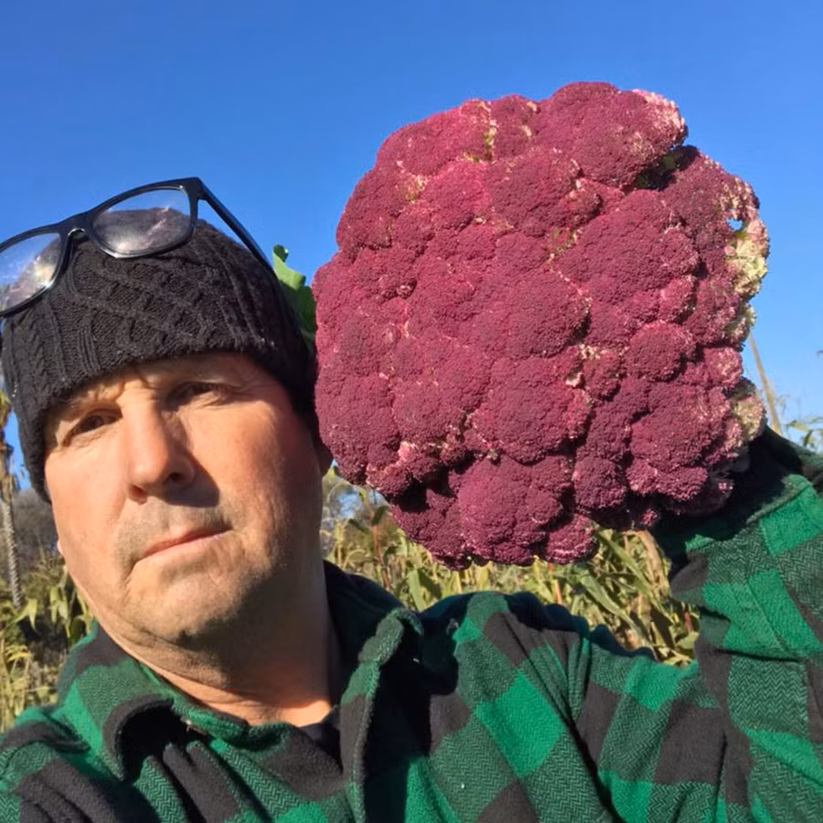 Khu vườn quanh năm tươi tốt với đủ loại cây trái của cặp vợ chồng thích ăn chay - Ảnh 3.