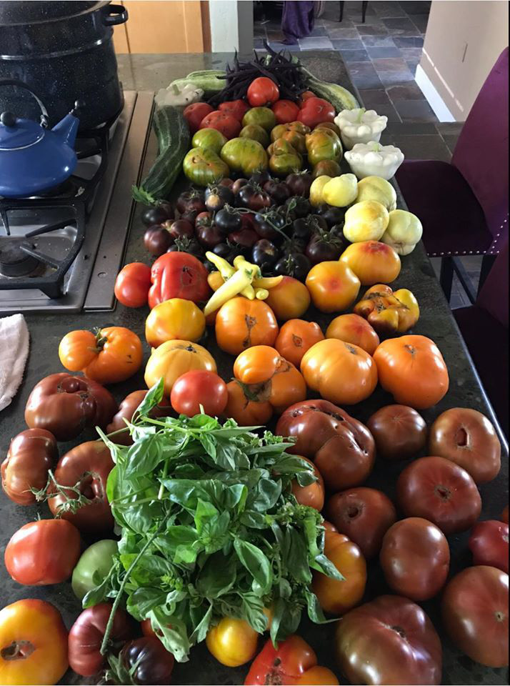 Khu vườn quanh năm tươi tốt với đủ loại cây trái của cặp vợ chồng thích ăn chay - Ảnh 15.