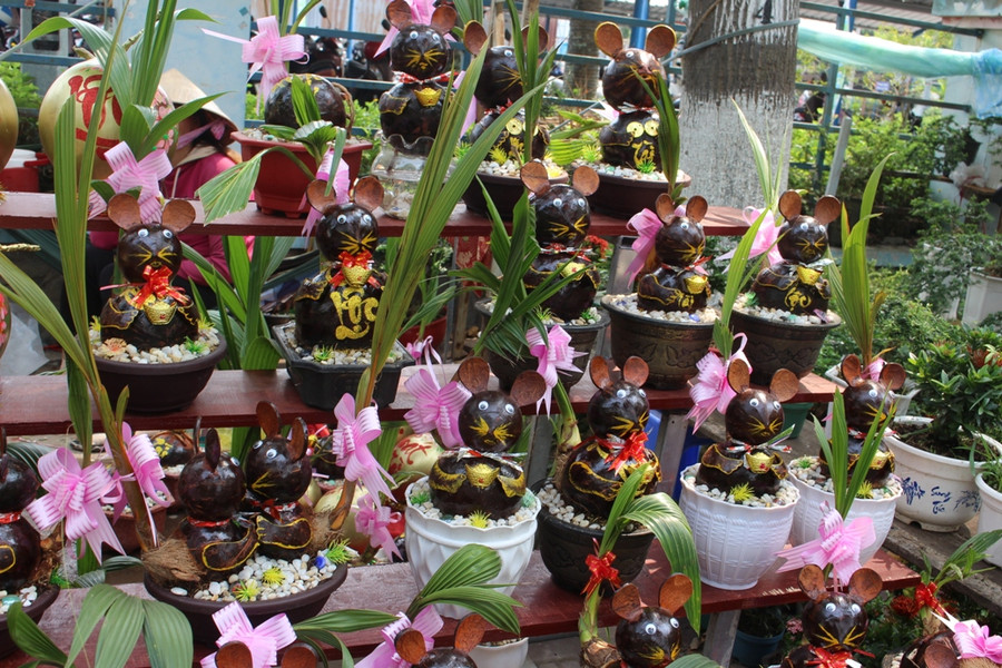 Bonsai từ quả dừa được các nghệ nhân chế tác độc đáo.