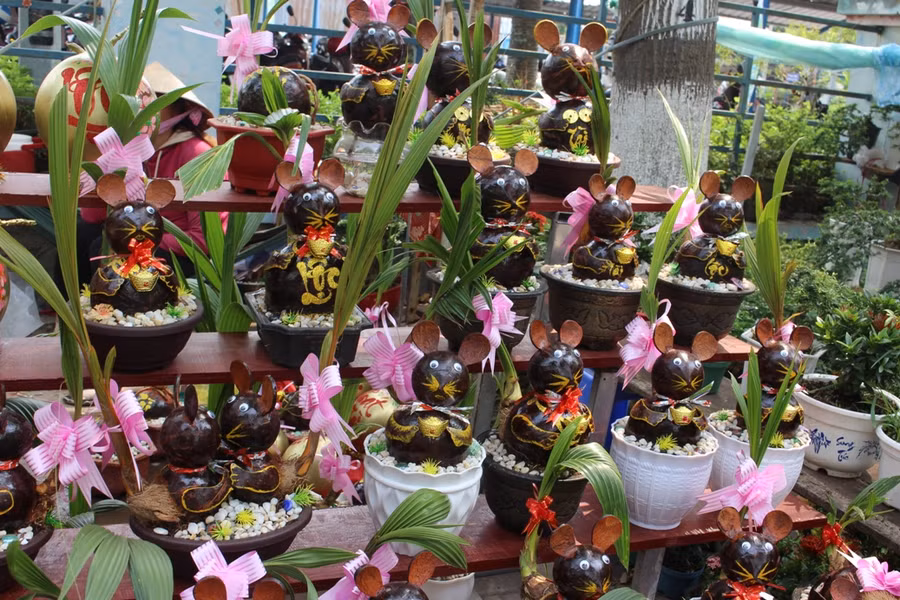 Bonsai từ quả dừa được các nghệ nhân chế tác độc đáo.
