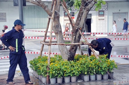 Phố đi bộ hiện đại nhất Việt Nam trước giờ mở cửa Pho di bo hien dai nhat Viet Nam truoc gio mo cua