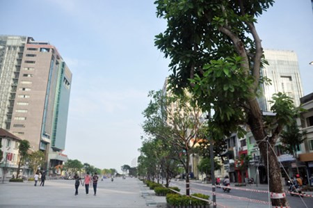 Phố đi bộ hiện đại nhất Việt Nam trước giờ mở cửa Pho di bo hien dai nhat Viet Nam truoc gio mo cua