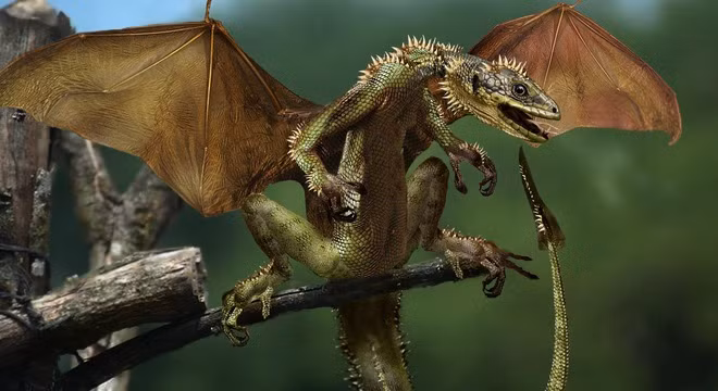 Loài rồng đã từng tồn tại trên thế giới?