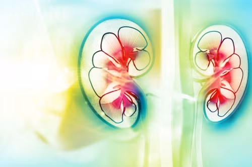 Thận nhân tạo: Niềm hi vọng của bệnh nhân suy thận - 1