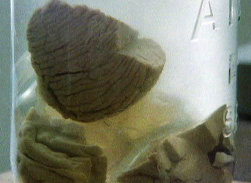 82398307-de27-jar-624-1181-1429609924.jp