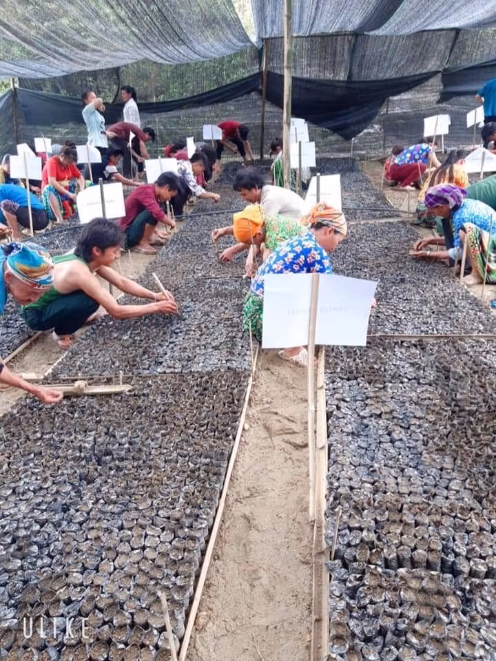 Mô hình vườn ươm keo lai giúp người dân có thêm việc làm và nâng cao thu nhập