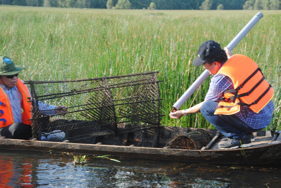 Vườn quốc gia Tràm Chim có diện tích trên 7.200 ha, có khoảng 30 ha làm trải nghiệm giăng câu, đặt lờ, đặt lọp