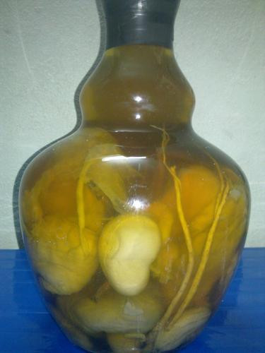 Cách ngâm cà dê tăng cường sinh lực