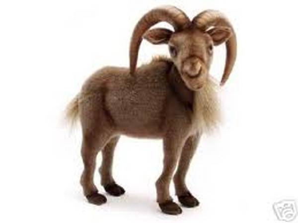 TẾTTruyện cười Con dê đen