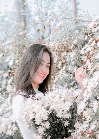 Thiếu nữ duyên dáng bên Cúc Họa Mi