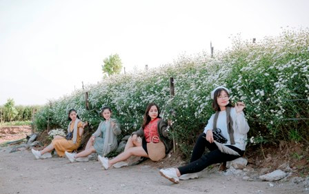 Nhiều bạn trẻ thích được "sống ảo" cùng Cúc Họa Mi