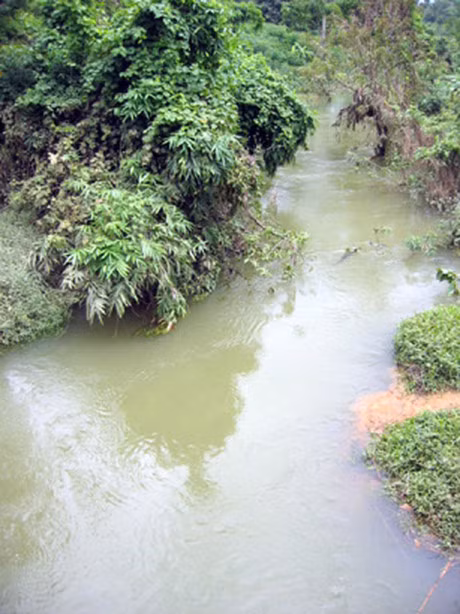 Vu lat ghe tren suoi Sa Mach: Vo chet, chong bi khoi to - Anh 1