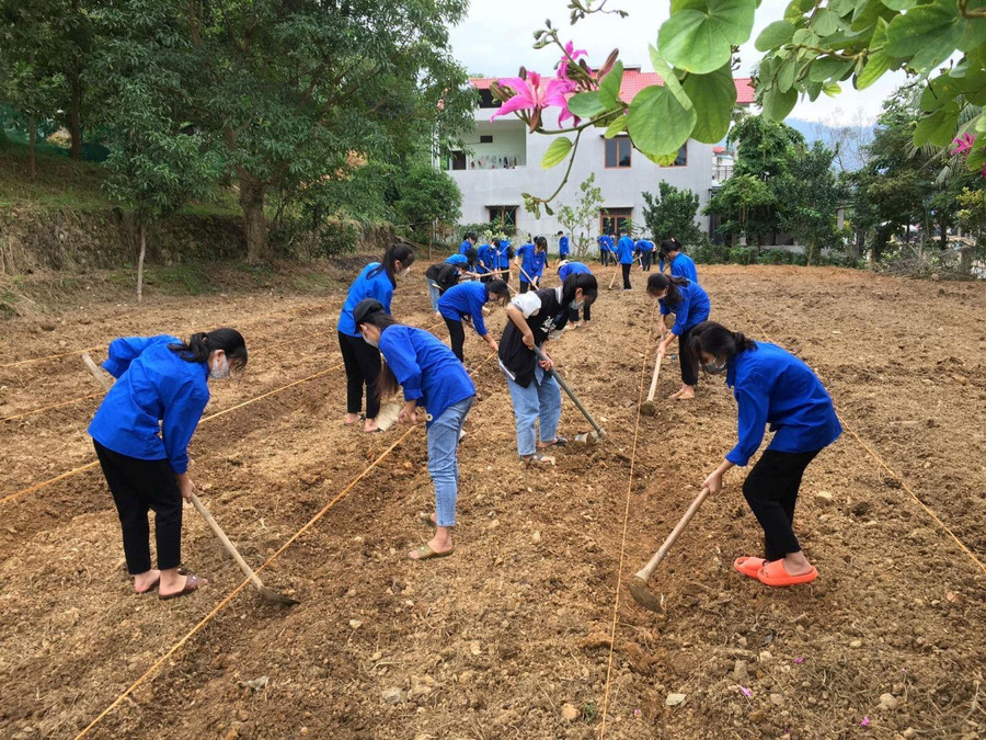 Ảnh minh họa Internet. Ảnh minh họa Internet.