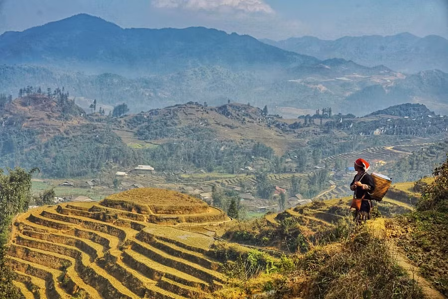 Ảnh minh họa: ITN