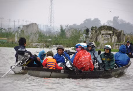 Rung minh canh tre con 