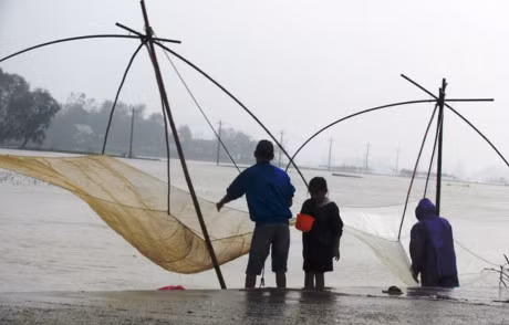 Rung minh canh tre con 