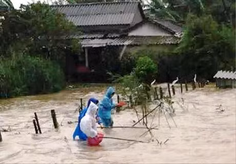 Rung minh canh tre con 