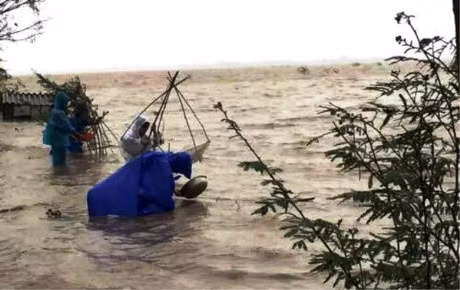 Rung minh canh tre con 