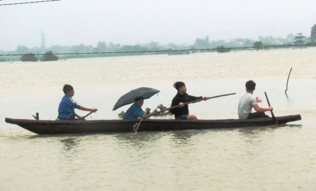Rùng mình cảnh trẻ con Rung minh canh tre con