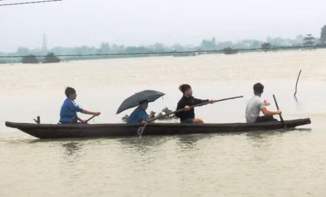 Rung minh canh tre con 