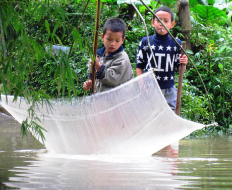 Rùng mình cảnh trẻ con Rung minh canh tre con