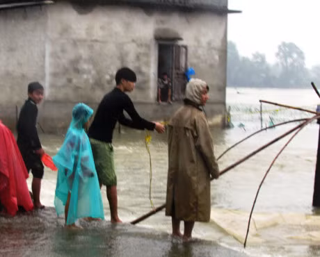 Rung minh canh tre con 