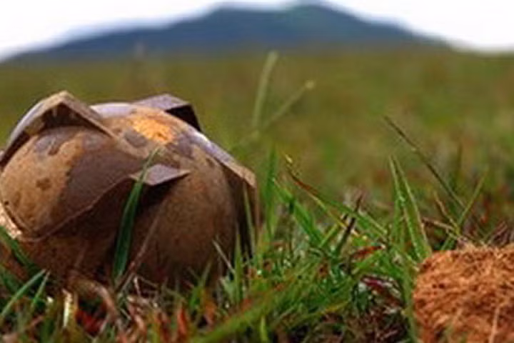 Hà Nội: Nổ bom bi lò gạch khiến 1 người tử vong