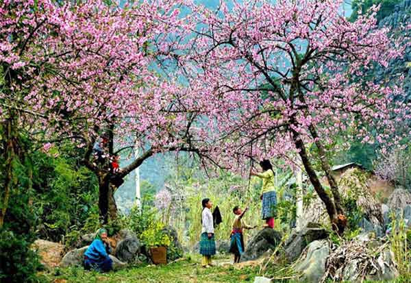Ảnh minh họa: INT Ảnh minh họa: INT