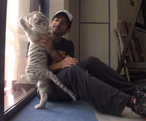 Thú nuôi quái thú độc, dị của Thái tử Dubai điển trai - Hình 9 Thu nuoi quai thu doc, di cua Thai tu Dubai dien trai-Hinh-9