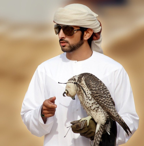 Thú nuôi quái thú độc, dị của Thái tử Dubai điển trai - Hình 3 Thu nuoi quai thu doc, di cua Thai tu Dubai dien trai-Hinh-3