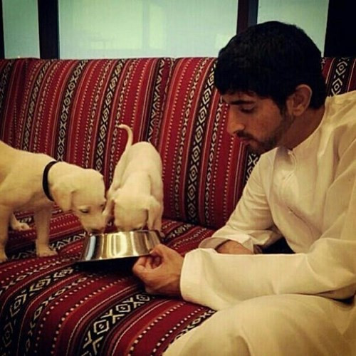 Thú nuôi quái thú độc, dị của Thái tử Dubai điển trai - Hình 10 Thu nuoi quai thu doc, di cua Thai tu Dubai dien trai-Hinh-10