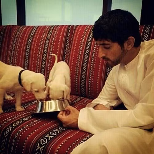 Thu nuoi quai thu doc, di cua Thai tu Dubai dien trai-Hinh-10