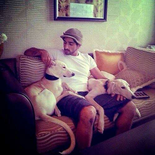 Thú nuôi quái thú độc, dị của Thái tử Dubai điển trai - Hình 11 Thu nuoi quai thu doc, di cua Thai tu Dubai dien trai-Hinh-11