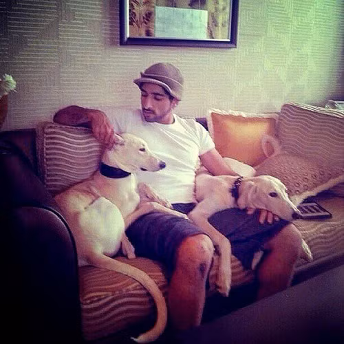 Thu nuoi quai thu doc, di cua Thai tu Dubai dien trai-Hinh-11