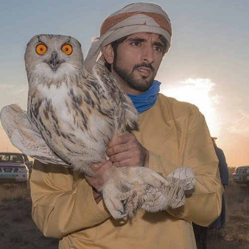 Thú nuôi quái thú độc, dị của Thái tử Dubai điển trai - Hình 2 Thu nuoi quai thu doc, di cua Thai tu Dubai dien trai-Hinh-2