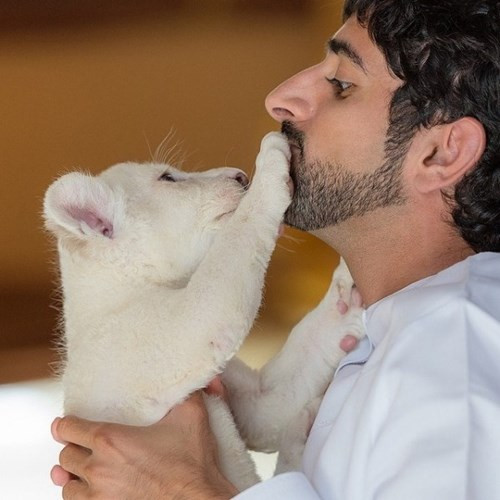 Thú nuôi quái thú độc, dị của Thái tử Dubai điển trai - Hình 8 Thu nuoi quai thu doc, di cua Thai tu Dubai dien trai-Hinh-8