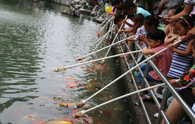 Công viên cho cá bú bình sữa ảnh 4