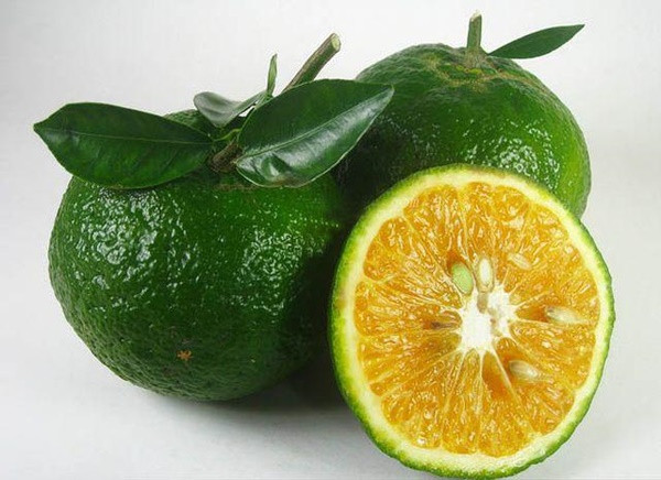 Ăn cam tăng cường sức đề kháng nhưng tránh ăn với 3 món này kẻo trả giá đắt-2