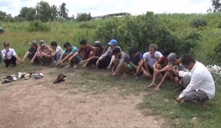 Bắt quả tang 14 người đang đá gà ăn tiền