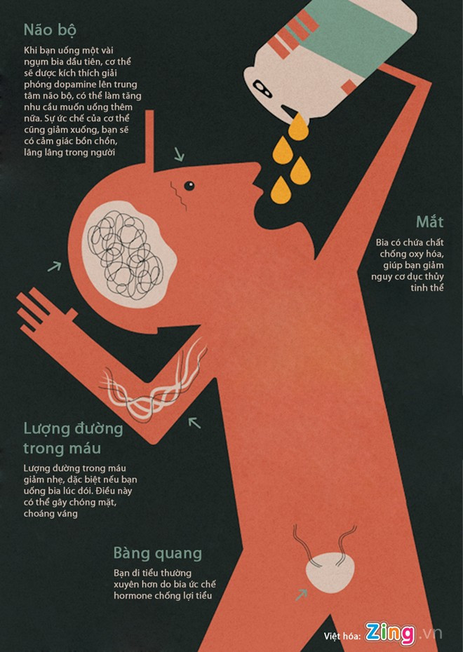 Điều gì xảy ra với cơ thể khi bạn uống bia?