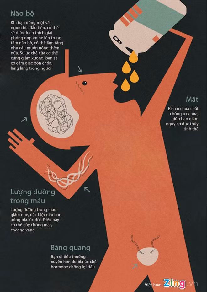 Điều gì xảy ra với cơ thể khi bạn uống bia?