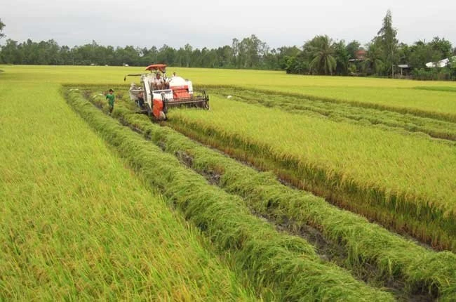 Chính sách tín dụng mới phục vụ phát triển nông nghiệp 